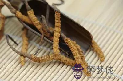楊士驤八字分析