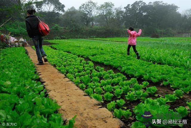 己土在八字中是什麼意思