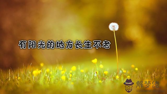 算命說實病什麼意思