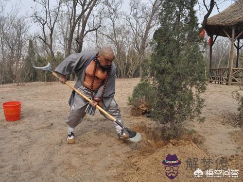 算命說實病什麼意思