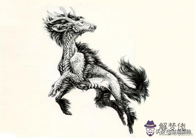 算命軍中之戰馬是什麼意思 算命軍中之戰馬是什麼意思