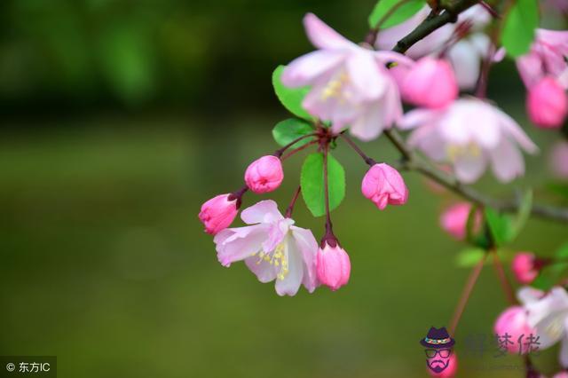 算命戊土建祿是什麼意思