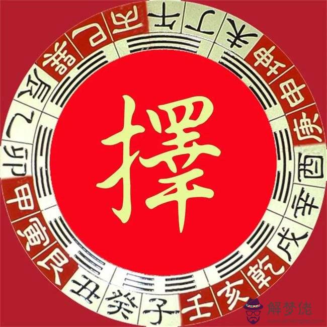 王芮八字命理分析