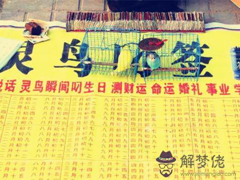 算命陰公的意思是什麼