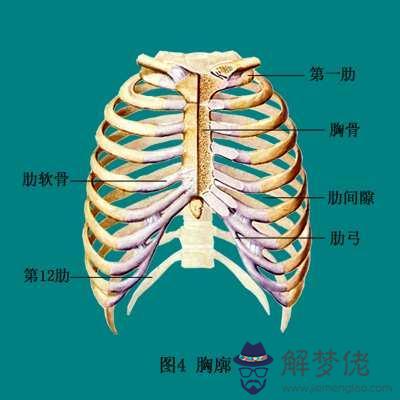 眼睛下方有條八字溝叫什麼