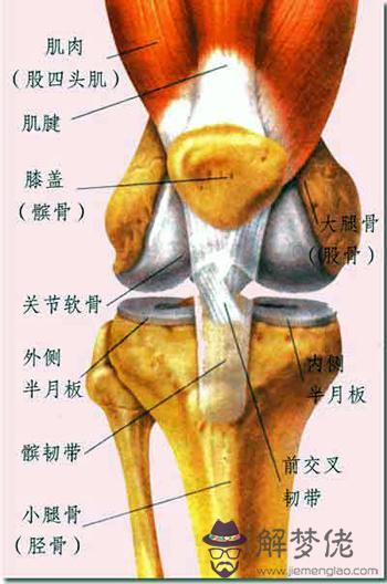 眼睛下方有條八字溝叫什麼