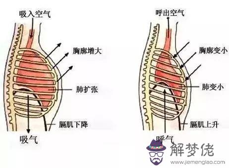 眼睛下方有條八字溝叫什麼