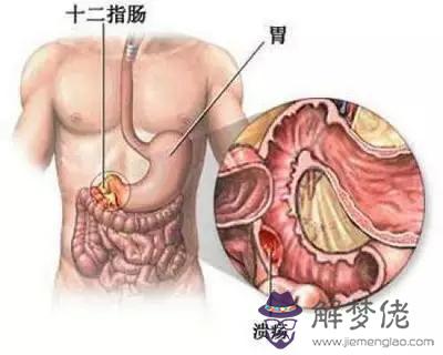 眼睛下方有條八字溝叫什麼