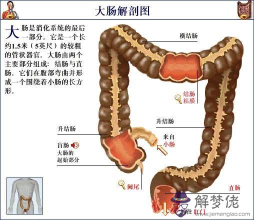 眼睛下方有條八字溝叫什麼