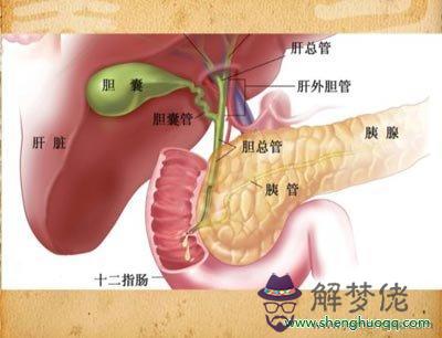 眼睛下方有條八字溝叫什麼