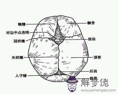 眼睛下方有條八字溝叫什麼