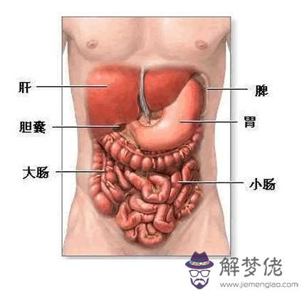 眼睛下方有條八字溝叫什麼