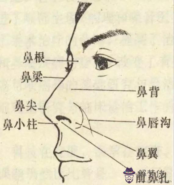 眼睛下方有條八字溝叫什麼