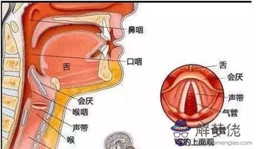 眼睛下方有條八字溝叫什麼