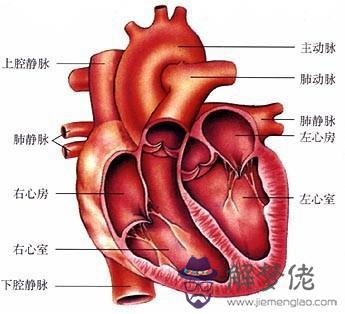 眼睛下方有條八字溝叫什麼