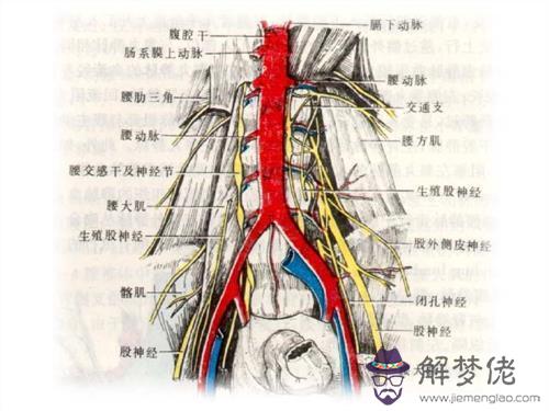 眼睛下方有條八字溝叫什麼