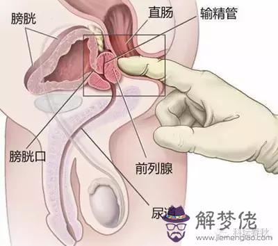 眼睛下方有條八字溝叫什麼