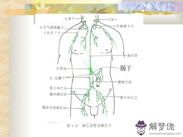 眼睛下方有條八字溝叫什麼