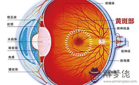 眼睛下方有條八字溝叫什麼