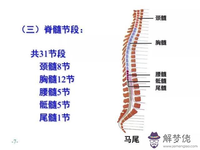 眼睛下方有條八字溝叫什麼