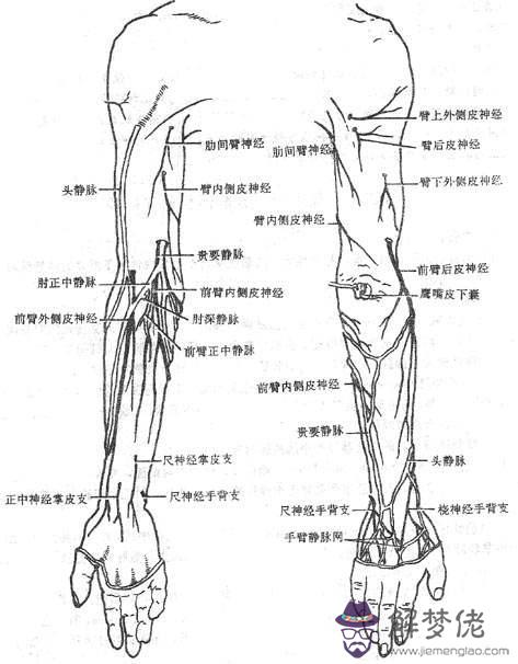 眼睛下方有條八字溝叫什麼