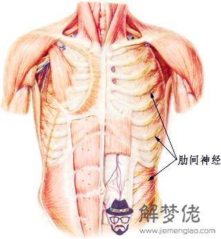 眼睛下方有條八字溝叫什麼