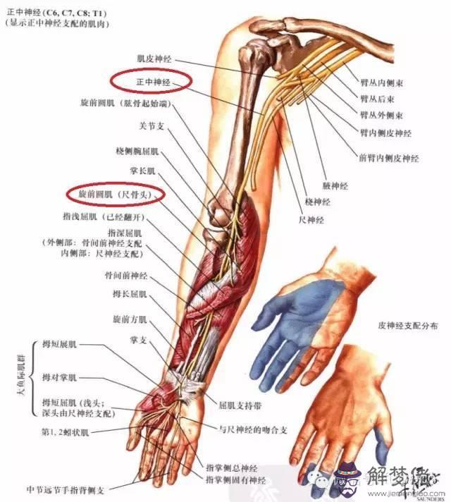 眼睛下方有條八字溝叫什麼