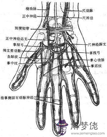 眼睛下方有條八字溝叫什麼