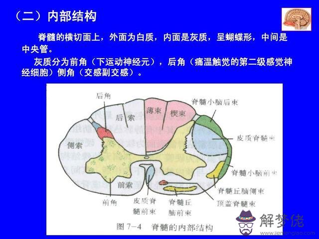 眼睛下方有條八字溝叫什麼