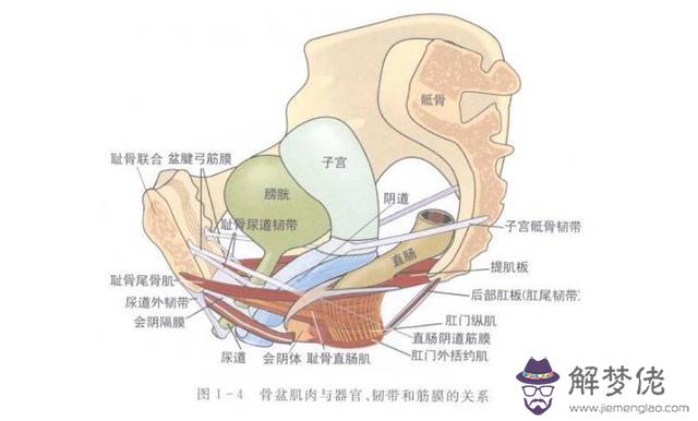 眼睛下方有條八字溝叫什麼