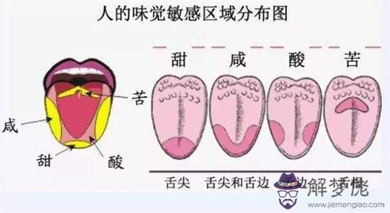 眼睛下方有條八字溝叫什麼