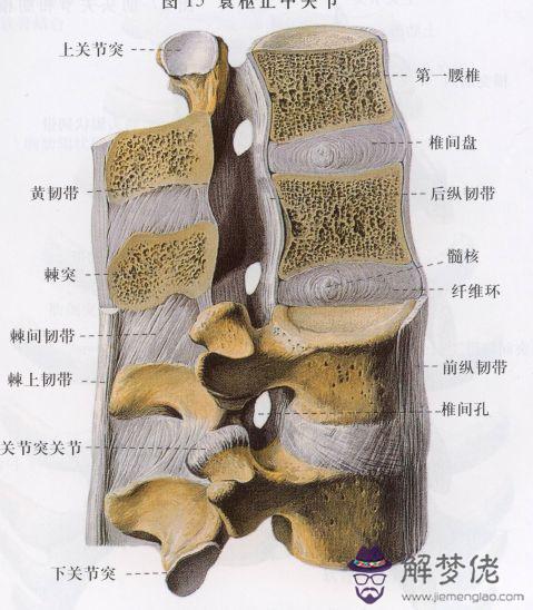 眼睛下方有條八字溝叫什麼