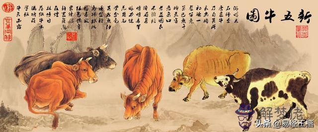 八字丑土是什麼意思 八字丑土是什麼意思