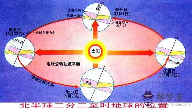 命理八字地支