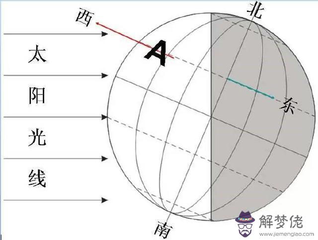 命理八字地支