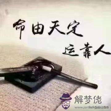 算命的說我是坐山之虎什麼意思