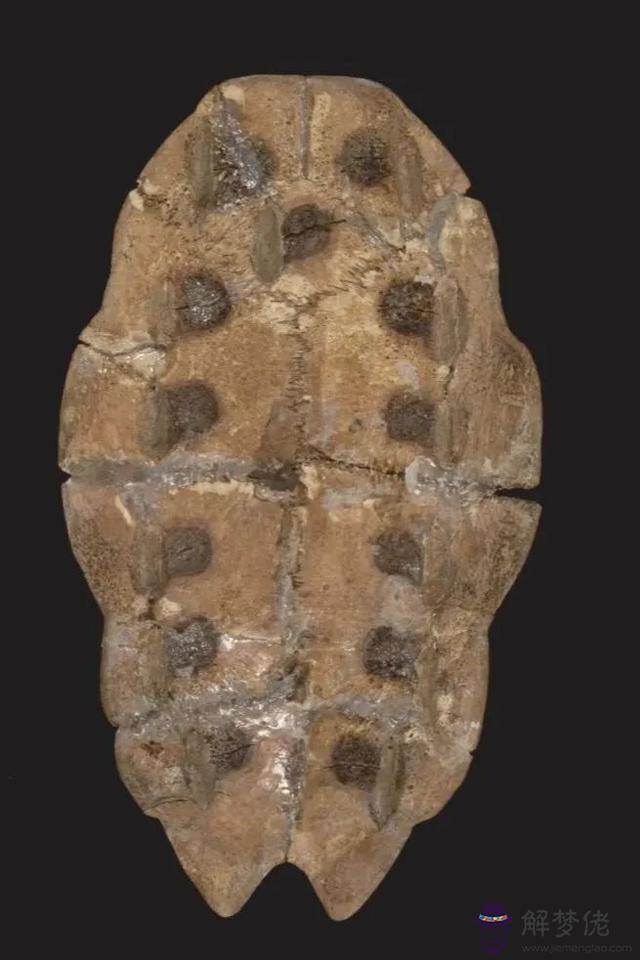 算命遷字是什麼意思是什麼 算命遷字是什麼意思是什麼