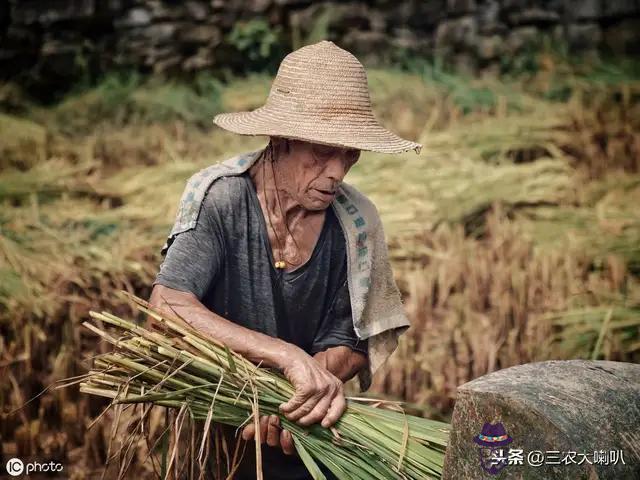 這是我的命運歌詞是什麼意思