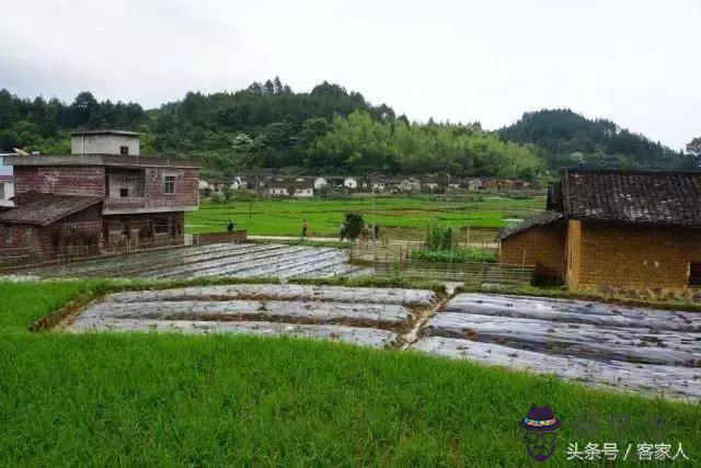 算命先生半路死是什麼意思