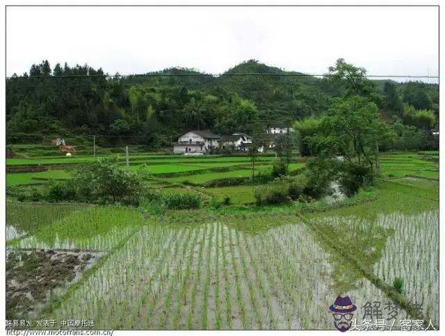 算命先生半路死是什麼意思