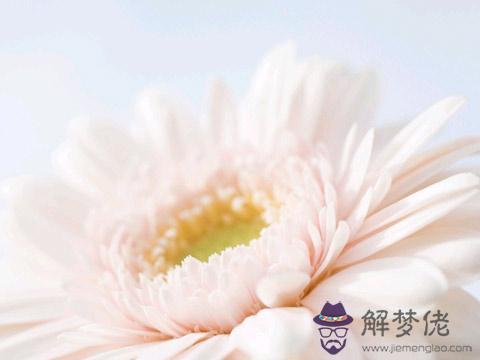 算命比胎是什麼意思