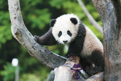 八字缺火喜水是什麼意思 八字缺火喜水是什麼意思