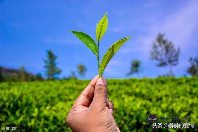 我們曾渴望命運的波瀾的意思