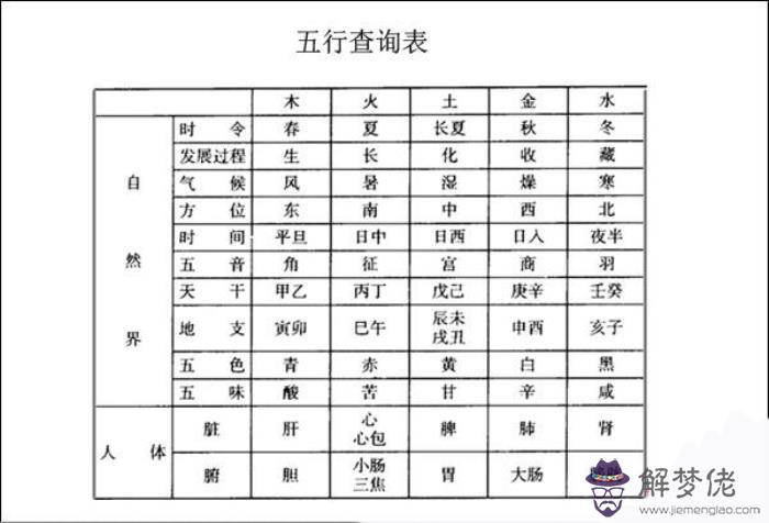 算命的地網是什麼意思