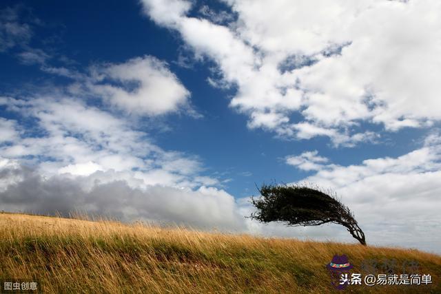 易經中的巽卦是什麼意思