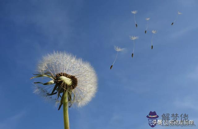 易經中的巽卦是什麼意思