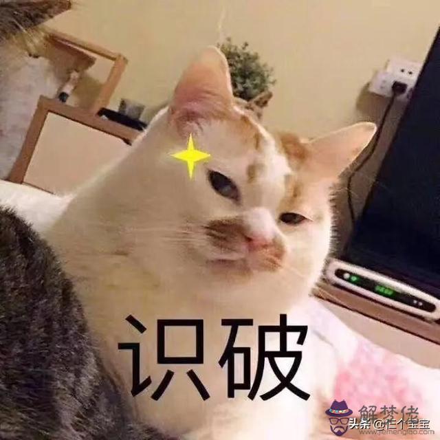 寶寶七個月外八字