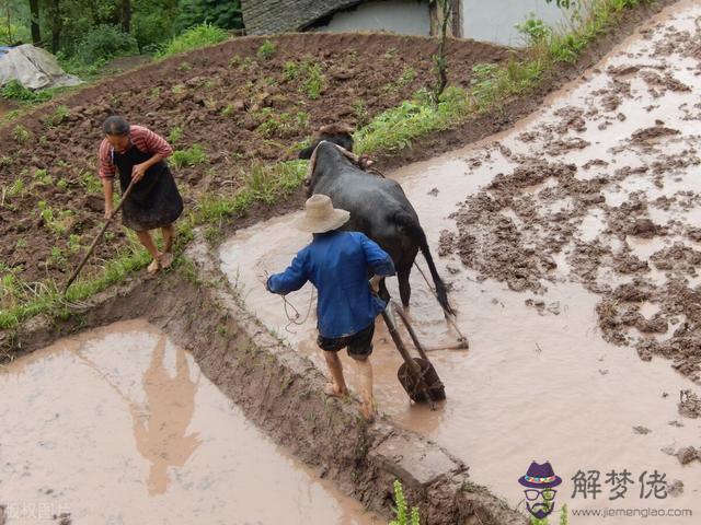 算命里的廿五歲是什麼意思