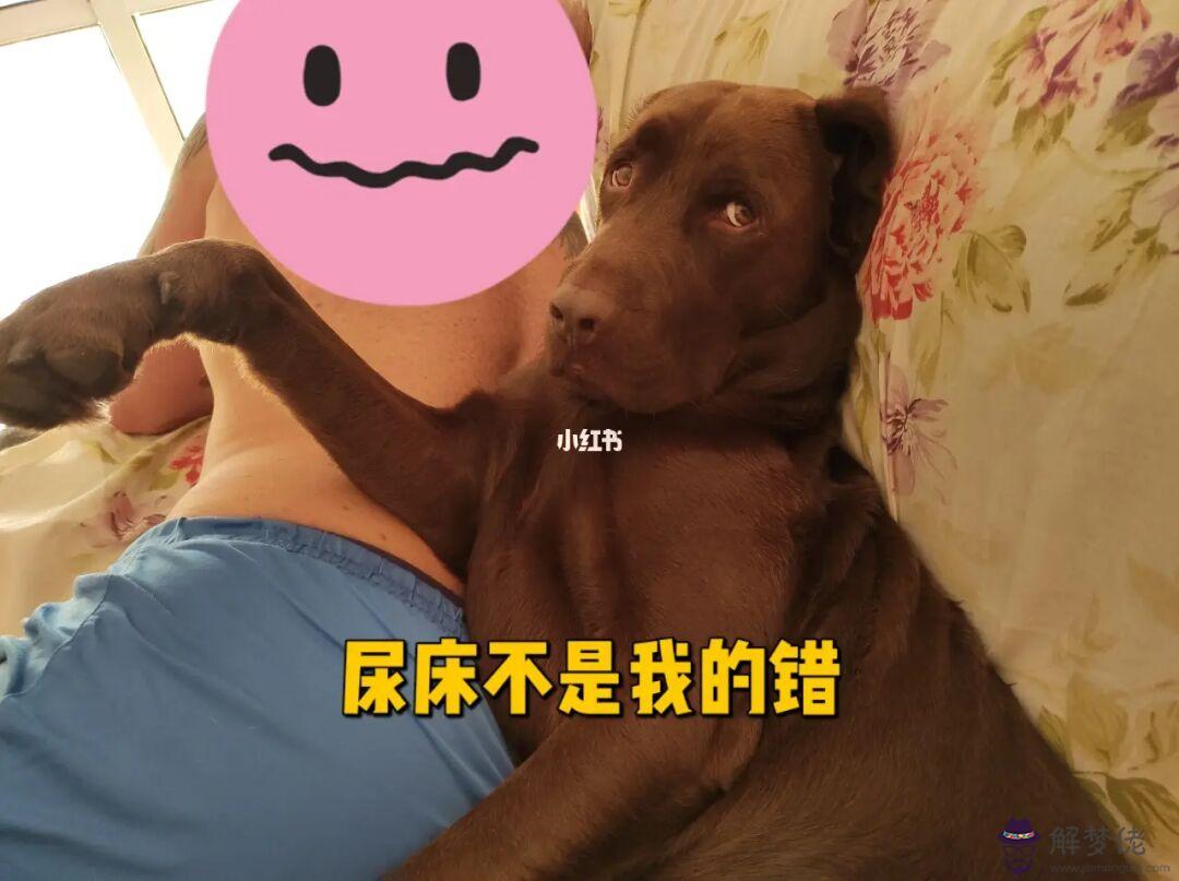 成語命運多舛什麼意思