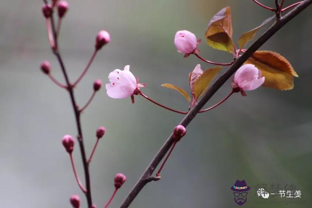 胃炎算命缺什麼意思